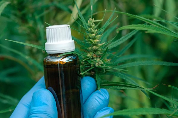 Comment le CBD peut-il contribuer à améliorer les troubles du sommeil ?