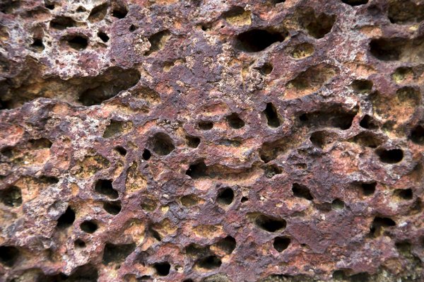 Alimentation, stress et santé de la vésicule biliaire : que faut-il savoir ?