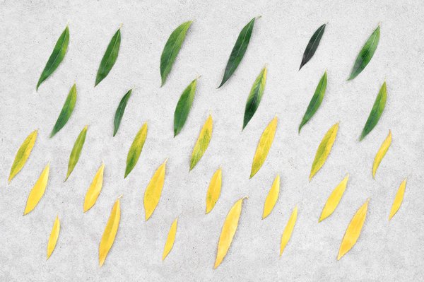 Comment perdre du poids durablement grâce à de petits changements quotidiens