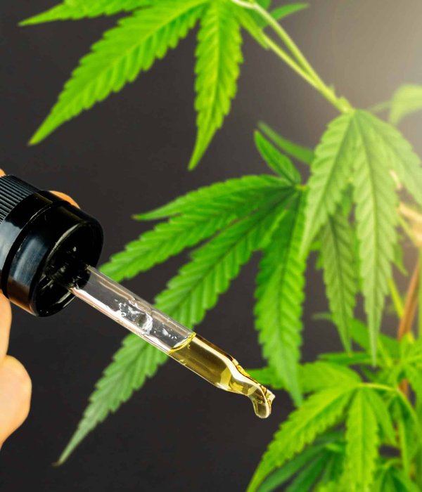 Meilleur site de chanvre : Vérifiez bien les produits proposés