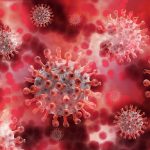 coronavirus, virus, blood