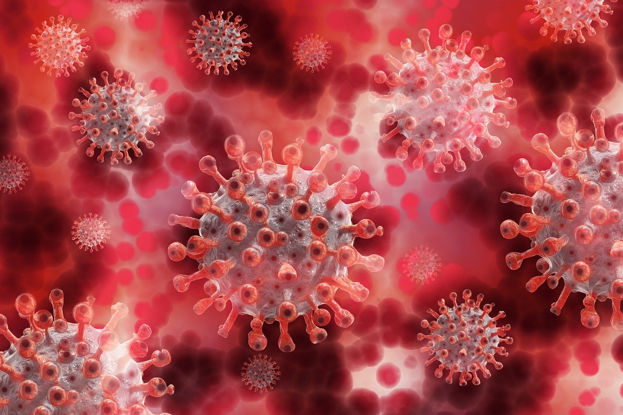 coronavirus, virus, blood